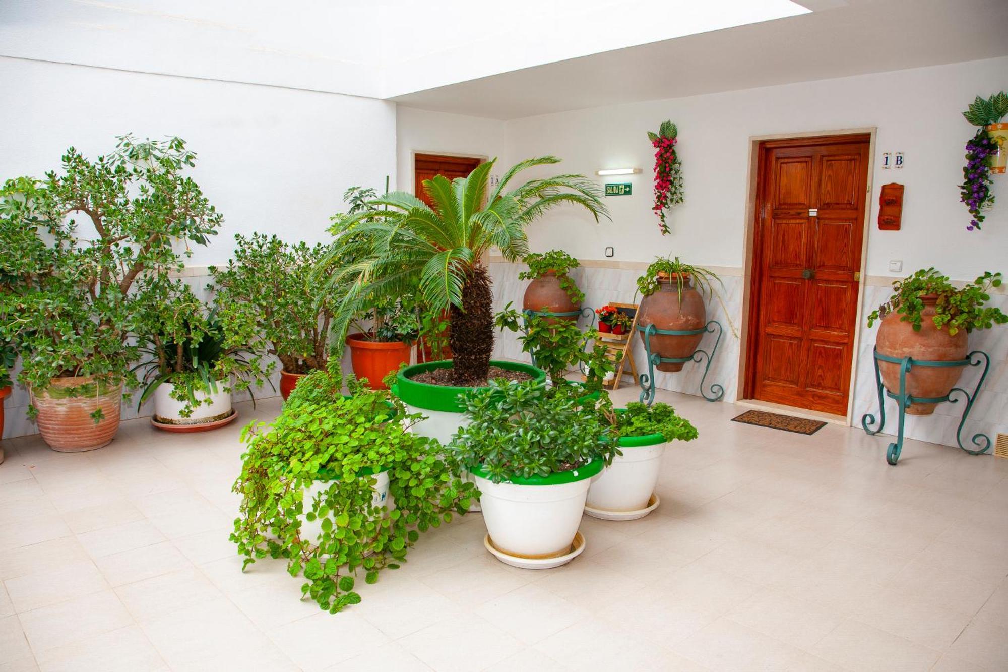 Atalaya Bosque Apartamentos Paguera Kültér fotó